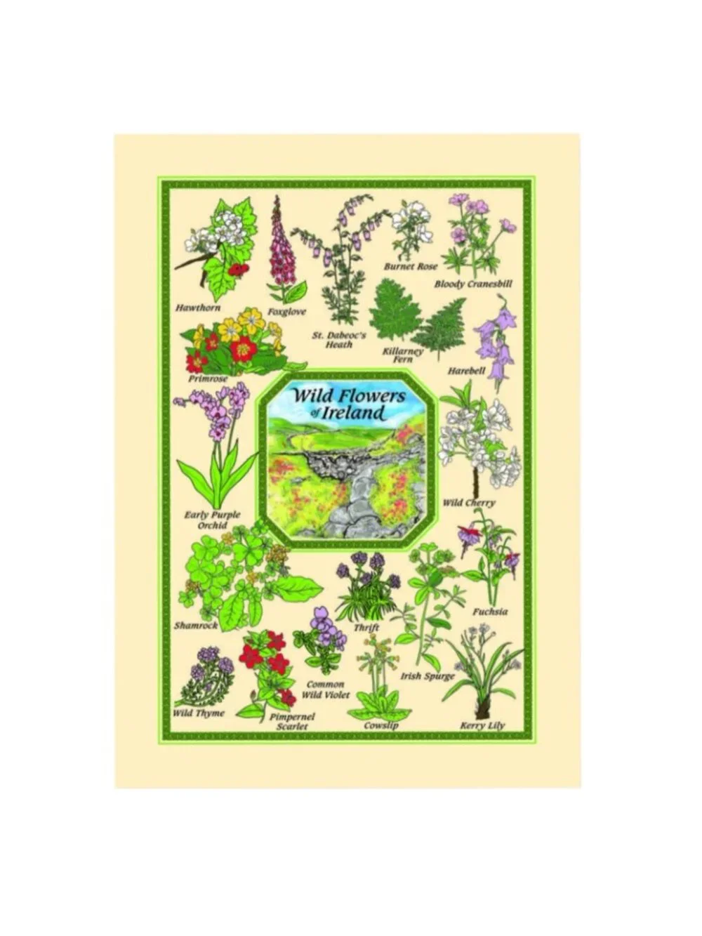 Gift Set of 2 Tea Towels Irish Cottage Blessings and Irish Wildflowers NWT